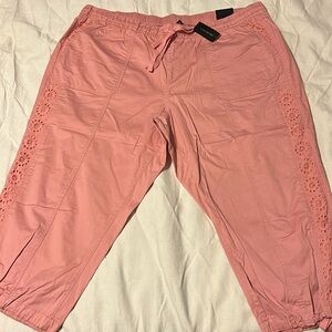 Size 22/24 lane Bryant capris